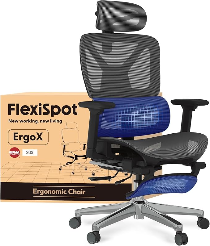 FLEXISPOT Ergonomischer