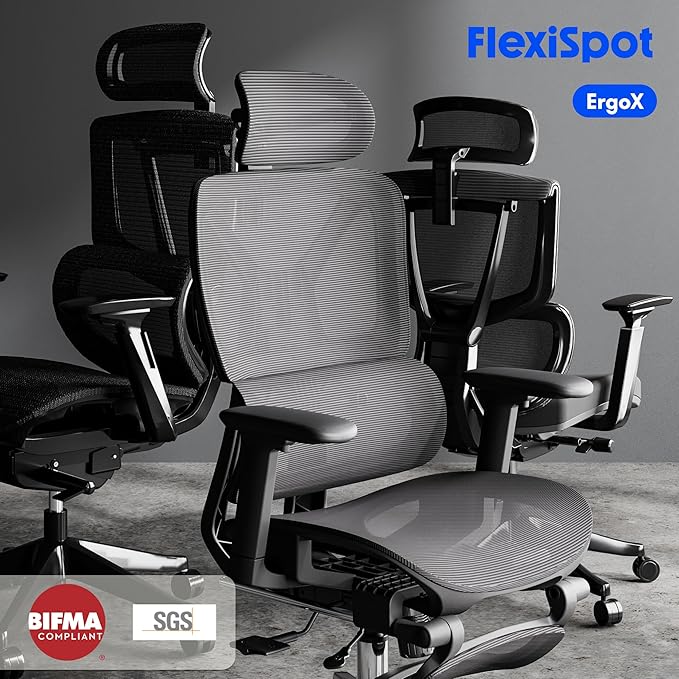 FLEXISPOT Ergonomischer